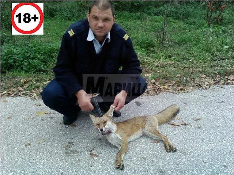 Потрес: Гард на НСО дере лисици в двореца "Кричим"