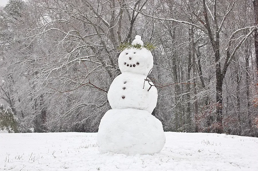 Няма да имаме снежна Коледа 