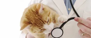 Честит празник на ветеринарите