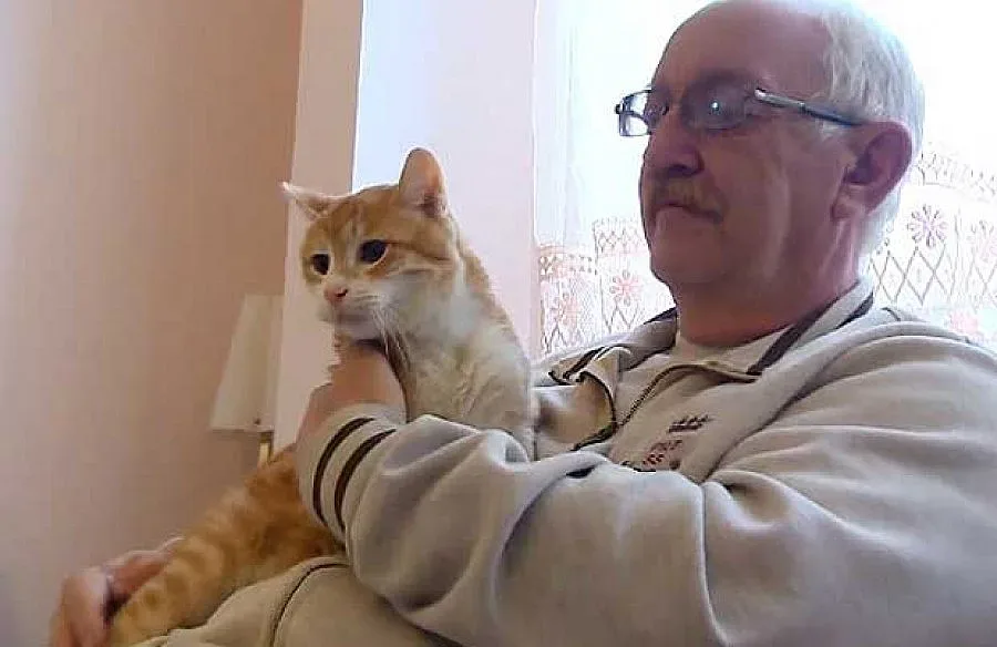 Котка на 23 г. живее в Белград