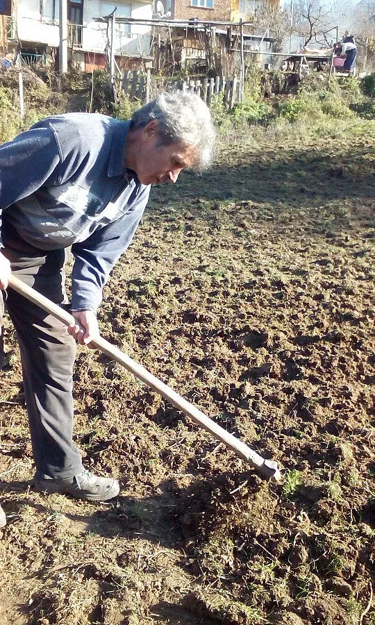 Брежани вече има разсадник за кестени