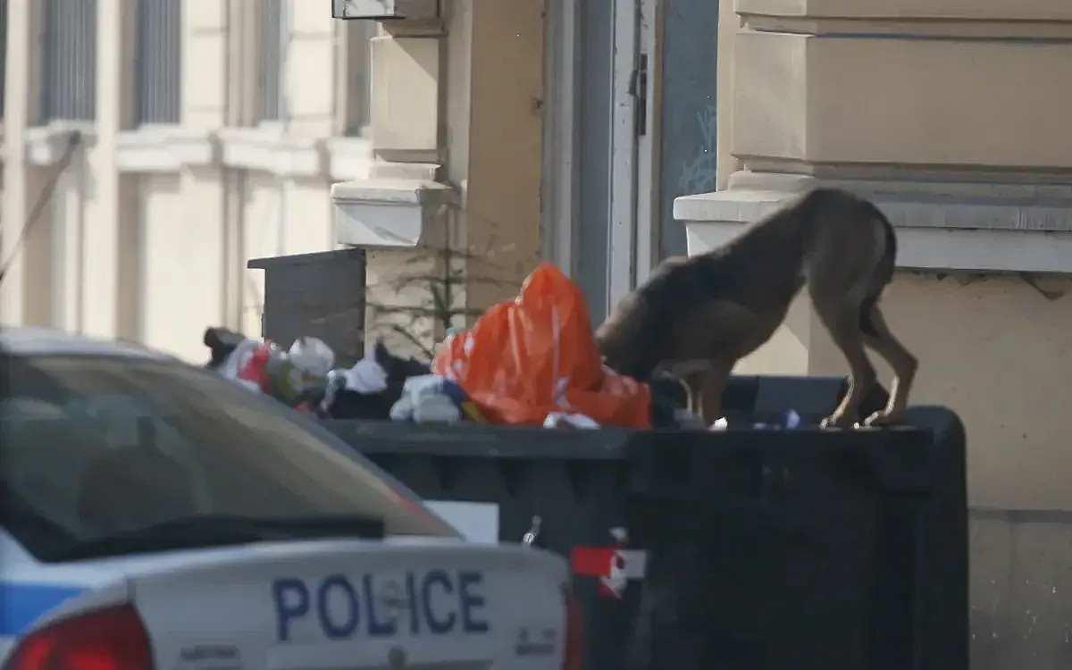 Кой ще плаща по-високи такси от Нова година