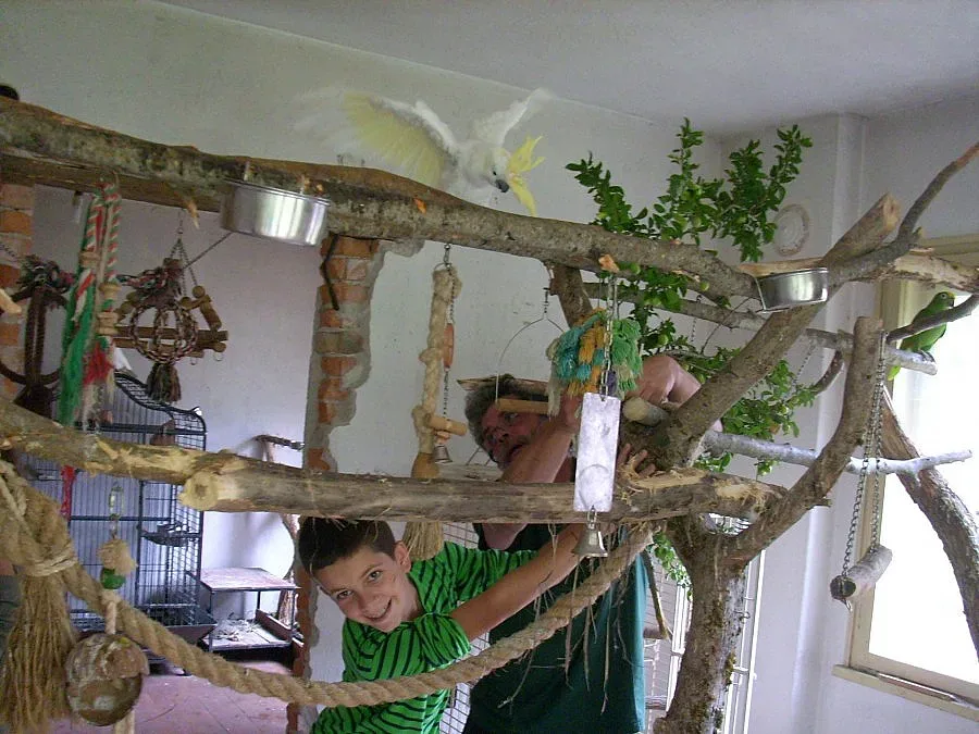 Огнян строи царство на папагалите в Родопите