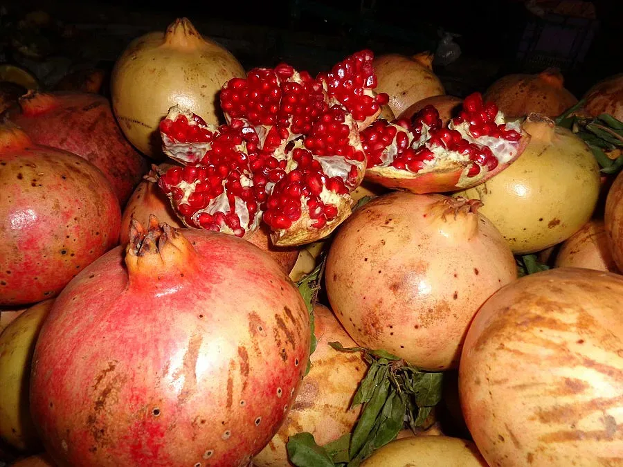 Нарът - еликсирът на Мароко