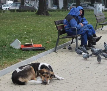 Мразовито съботно утро 