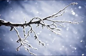 Зимата чука на вратата, температурите падат още