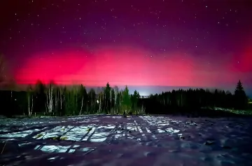 За първи път! Заснеха невиждано чудо в Родопите