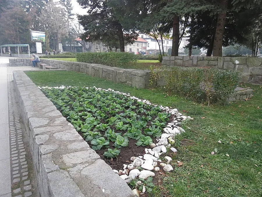 Банско с нови алеи за цветя
