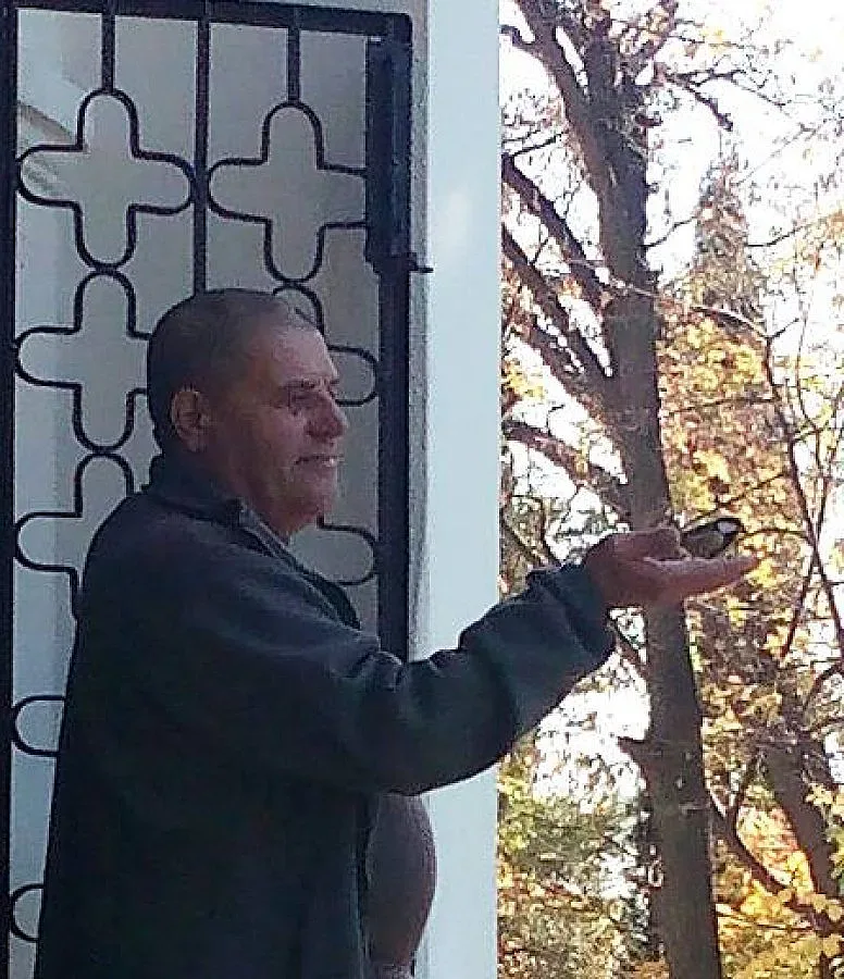 Да опитомиш дивото