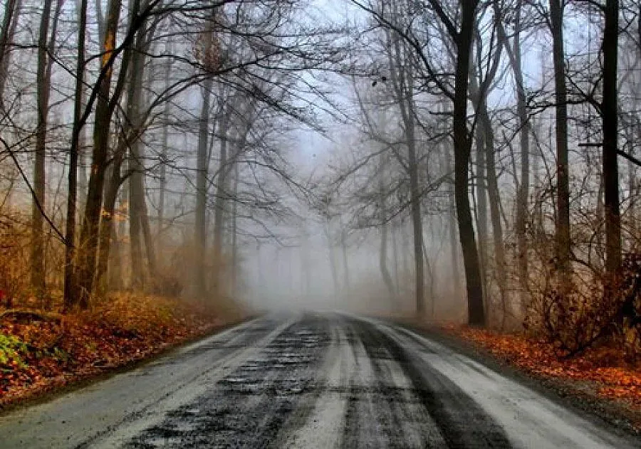 Студ във вторник