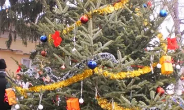 Окрадоха коледната елха в Силистра ден преди запалването й