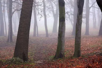 Мъгливо начало на седмицата 