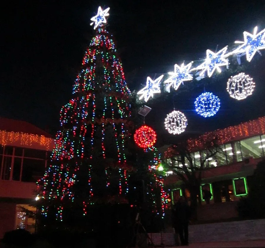 Сергии „преместиха” елхата в Сандански