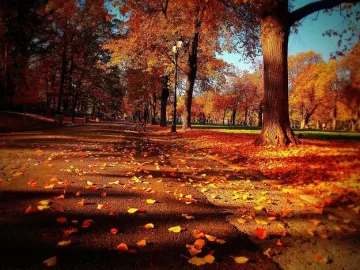 Декемврийското лято продължава