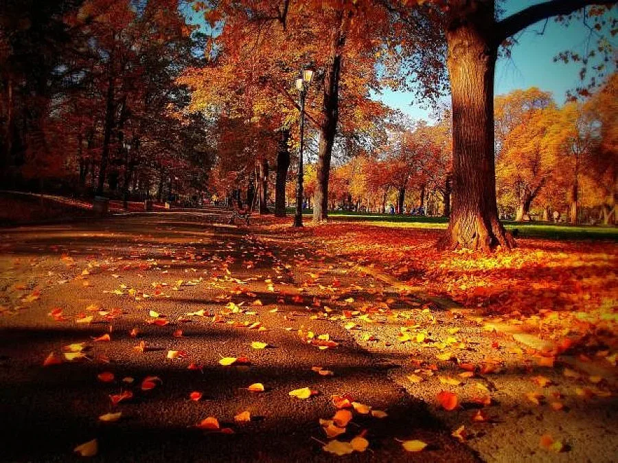 Декемврийското лято продължава