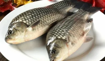 Шаранът най-търсен в Кърджали преди Никулден 