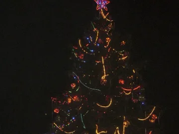  Светват коледните елхи в Дупница и Кюстендил