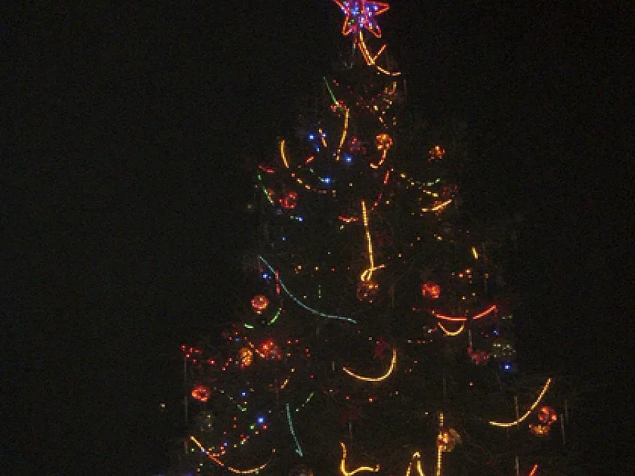  Светват коледните елхи в Дупница и Кюстендил