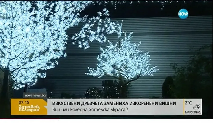 Светещи овошки заменят изкоренени вишни пред столичен хотел