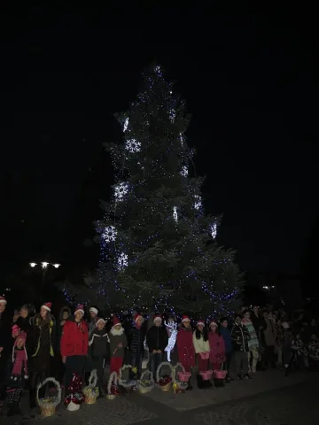 Банско грейна коледно