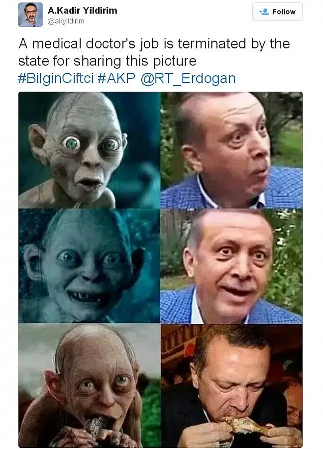 Лекар сравни Ердоган с Ам-гъл