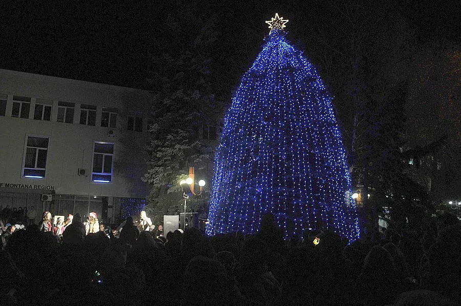 Грейна коледната елха в Монтана