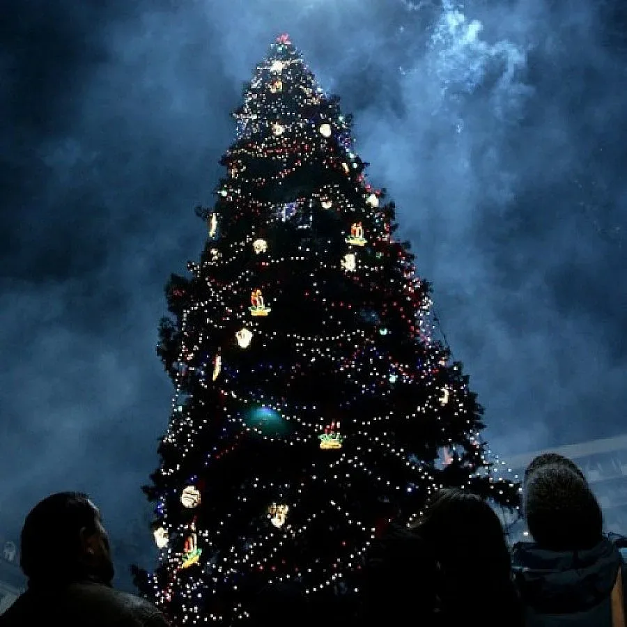 Утре запалват светлините на Коледната елха в София