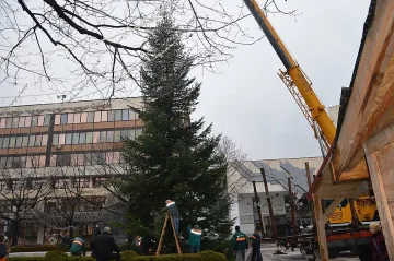 22-метрова елха украси Благоевград