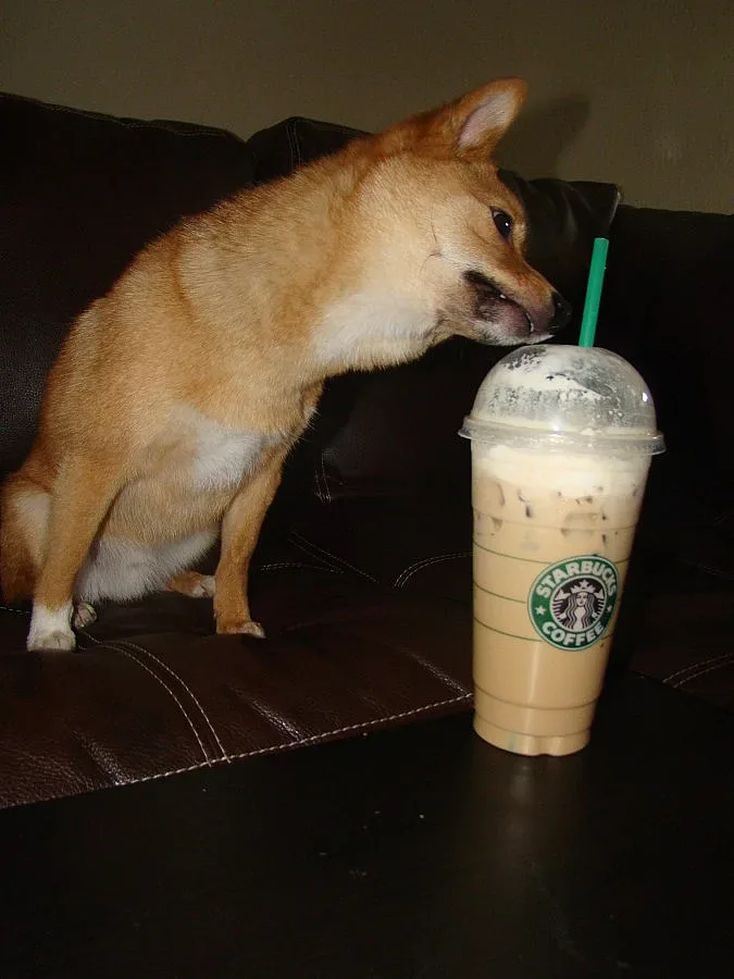 Вицове с кафето