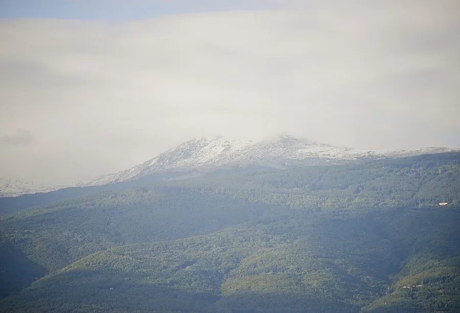 Природозащитници излизат на протест в 3 града