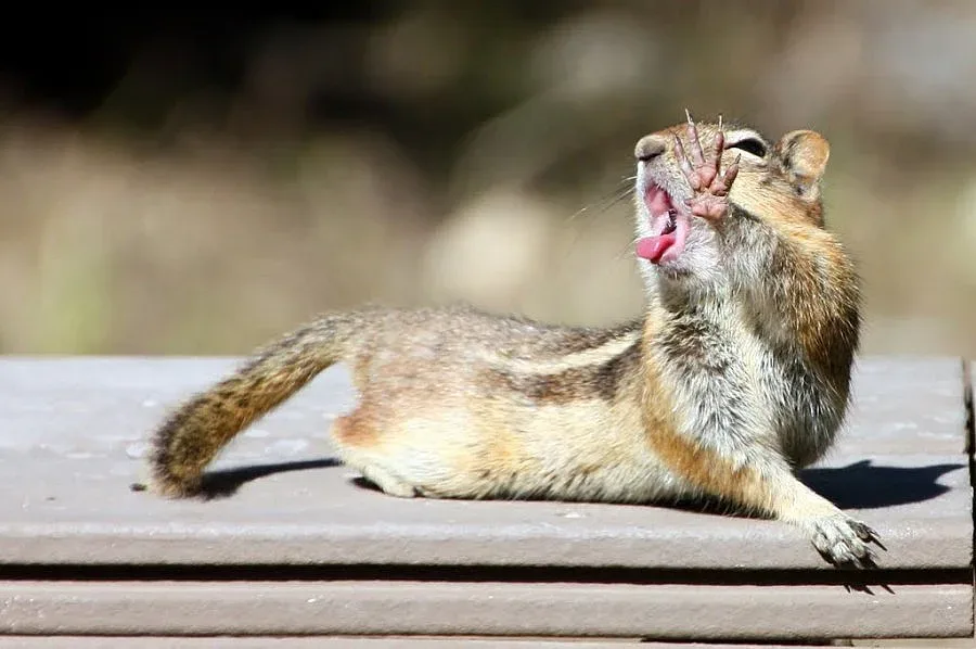 Вицове за сутрешното кафе