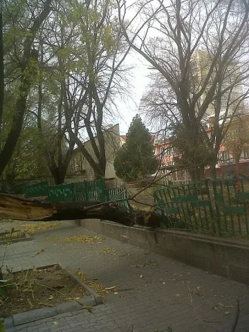 Бурен вятър спря въгледобива в „Марица-изток“