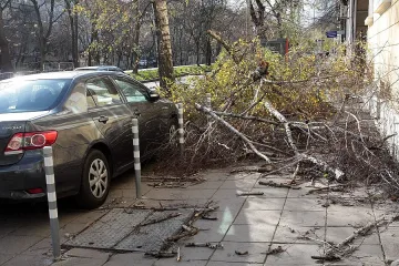 ЧЕЗ: Квартали на София остават без ток за час