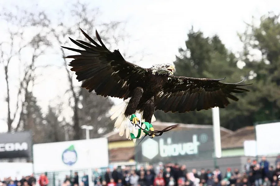 Спортна тв събота