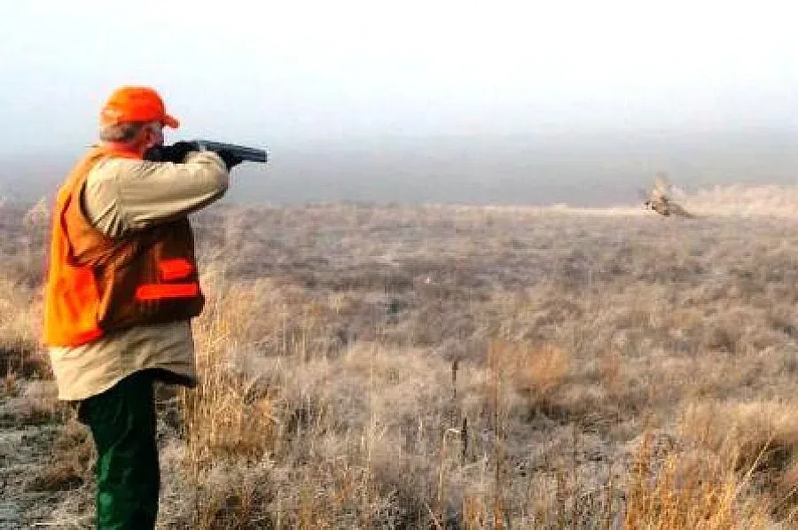 Бракониери пребиха служител на НП „Пирин"