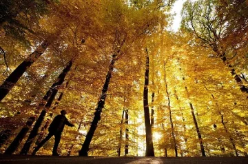 Слънчево време в петък