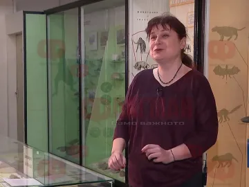 Огромно откритие! Как е изглеждала Стара планина преди 70 милиона години