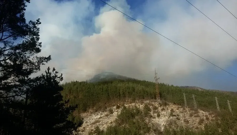 Потушиха пожара над Асеновград
