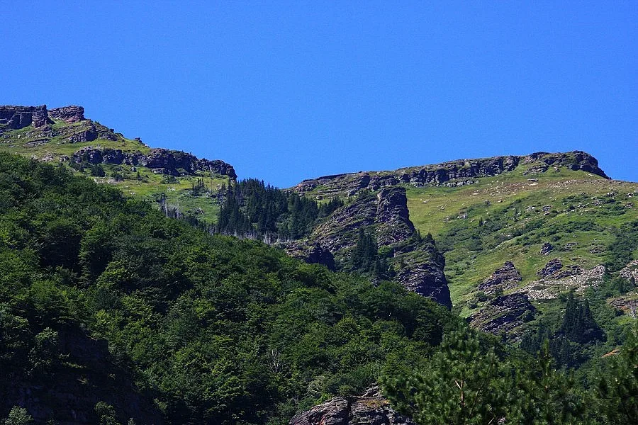 Огнеборци спасиха къщи в Чипровци и селата Мартиново и Горна Лука