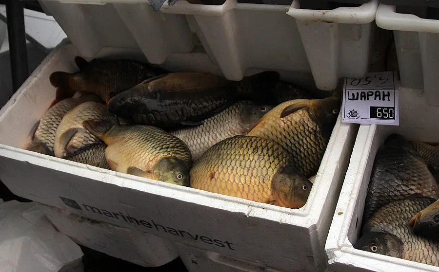 ЕС одобри 113 млн. евро за рибарство