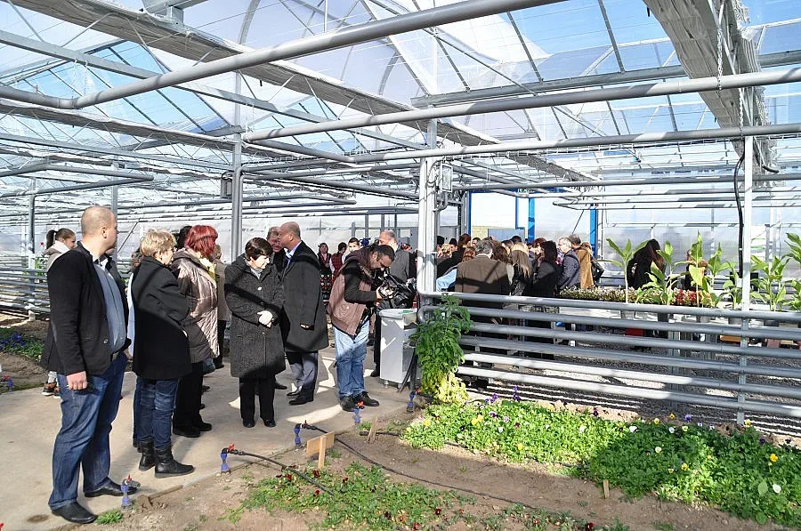 Минерални бани отглеждат цветя за парковете си в термална оранжерията