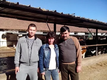  Ферма пести ток  с мляко и слънце