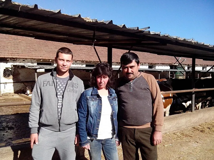  Ферма пести ток  с мляко и слънце