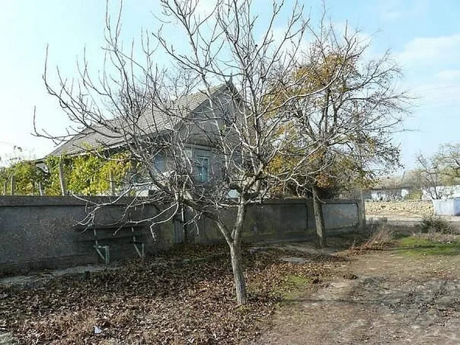  Българин превръща в музей къщата на Ботев в Задунаевка