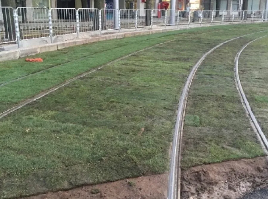 Софиянци газят единствените зелени почви в града (ВИДЕО)