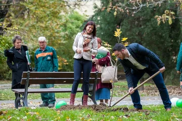 Лирово дърво ще радва благоевградчани в парка