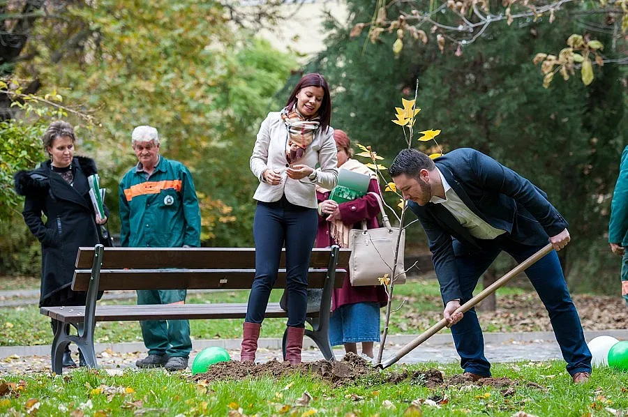 Лирово дърво ще радва благоевградчани в парка