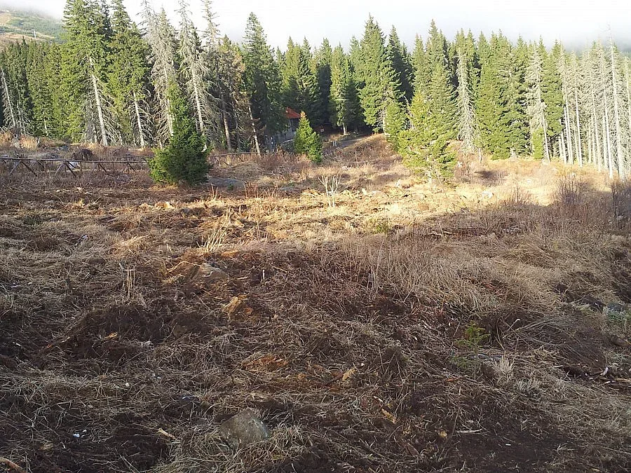 „Витоша ски": Нямаме нищо общо с преписваните ни действия в ПП „Витоша"