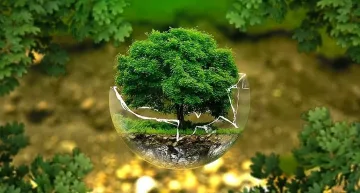 Протест в защита на природата в 5 града