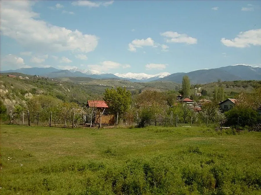 Млада жена избяга от дома си, изнасилили я